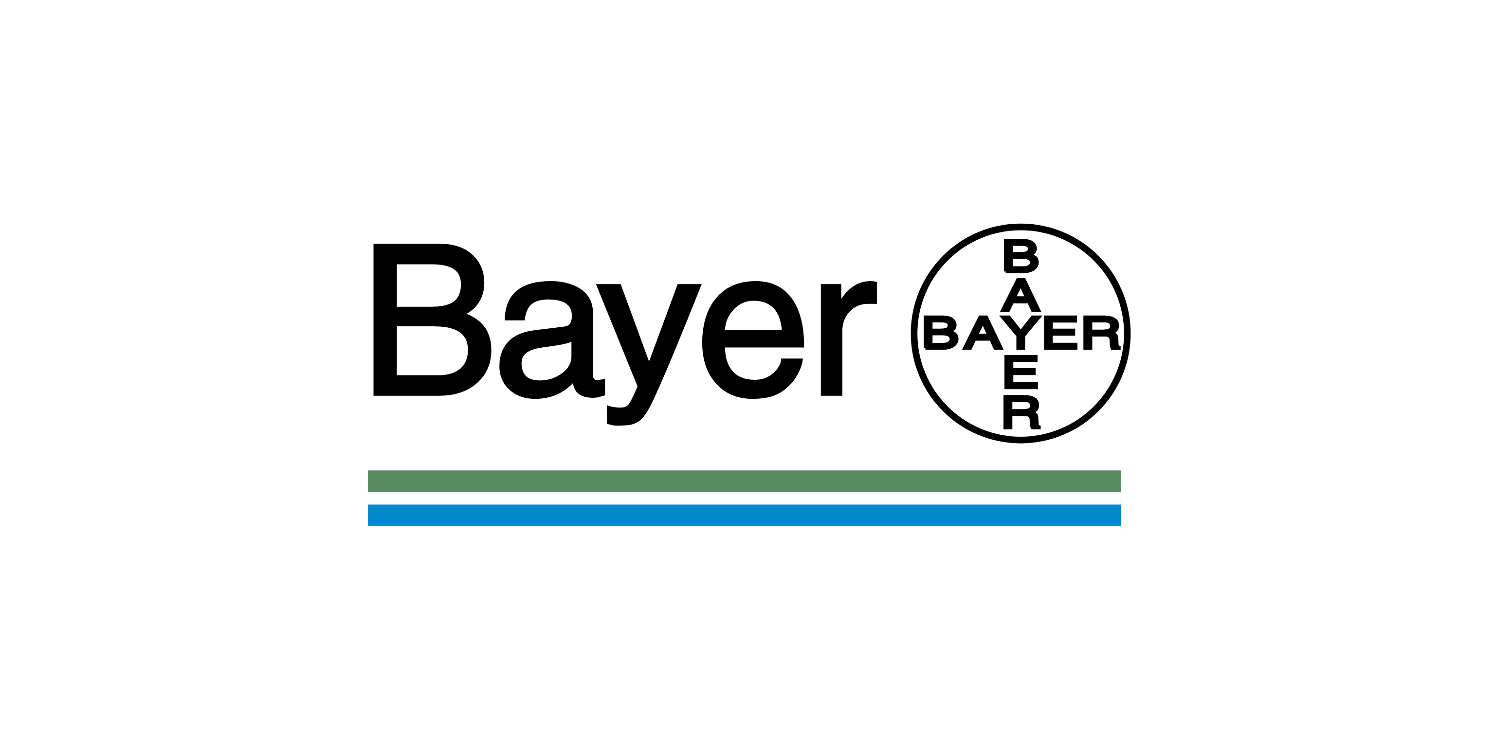 1 Python & Minecraft – Programmieren und Spielen in Bestform lernen